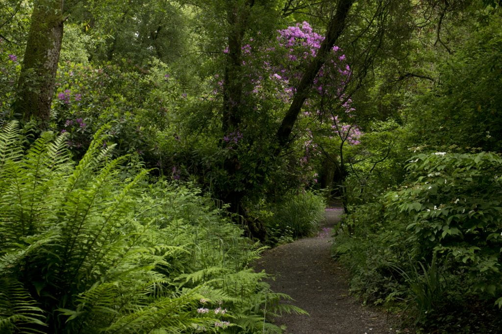 Margaret Gormley At Altamont Gardens Carlow Garden Trail