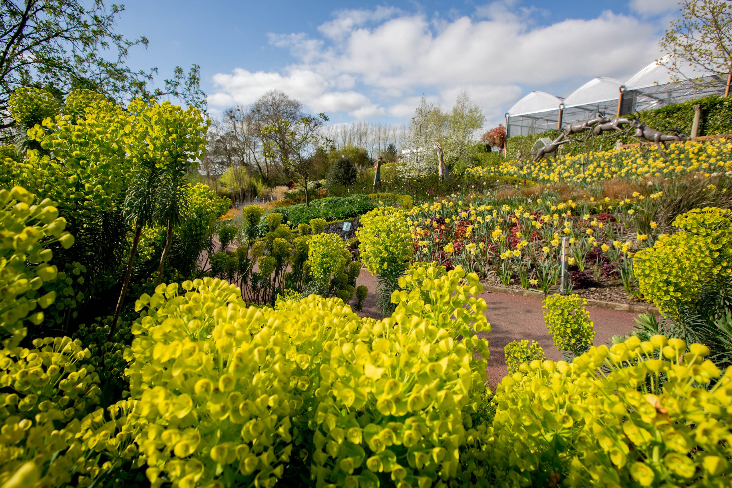 Arboretum Inspirational Gardens - Carlow Garden Trail