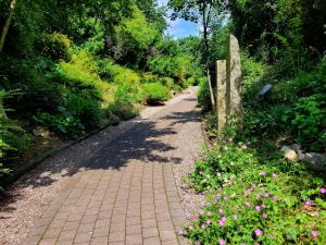 1. Main picture – Ballon Tree Trail