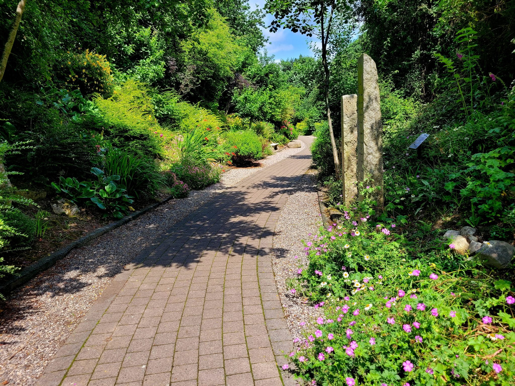 Tree Trails Carlow Garden Trail