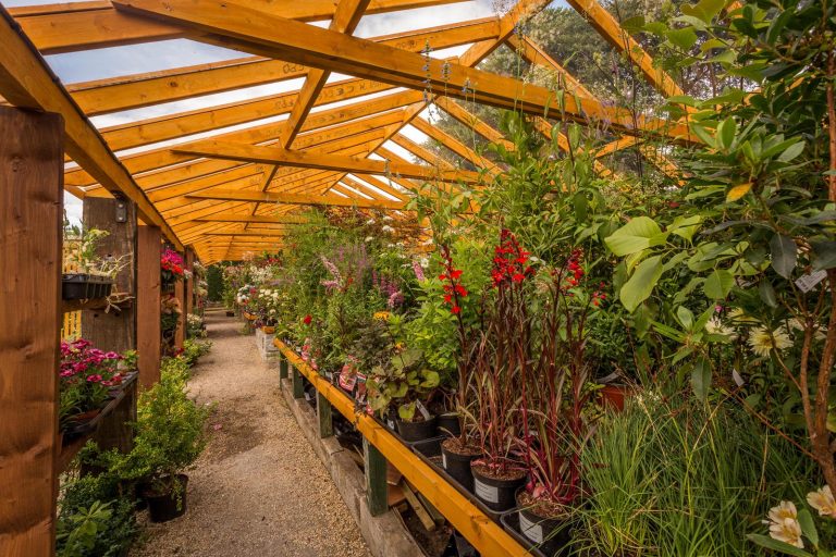 Gardeners Paradise -Altamont Plant Sales - plant sales area