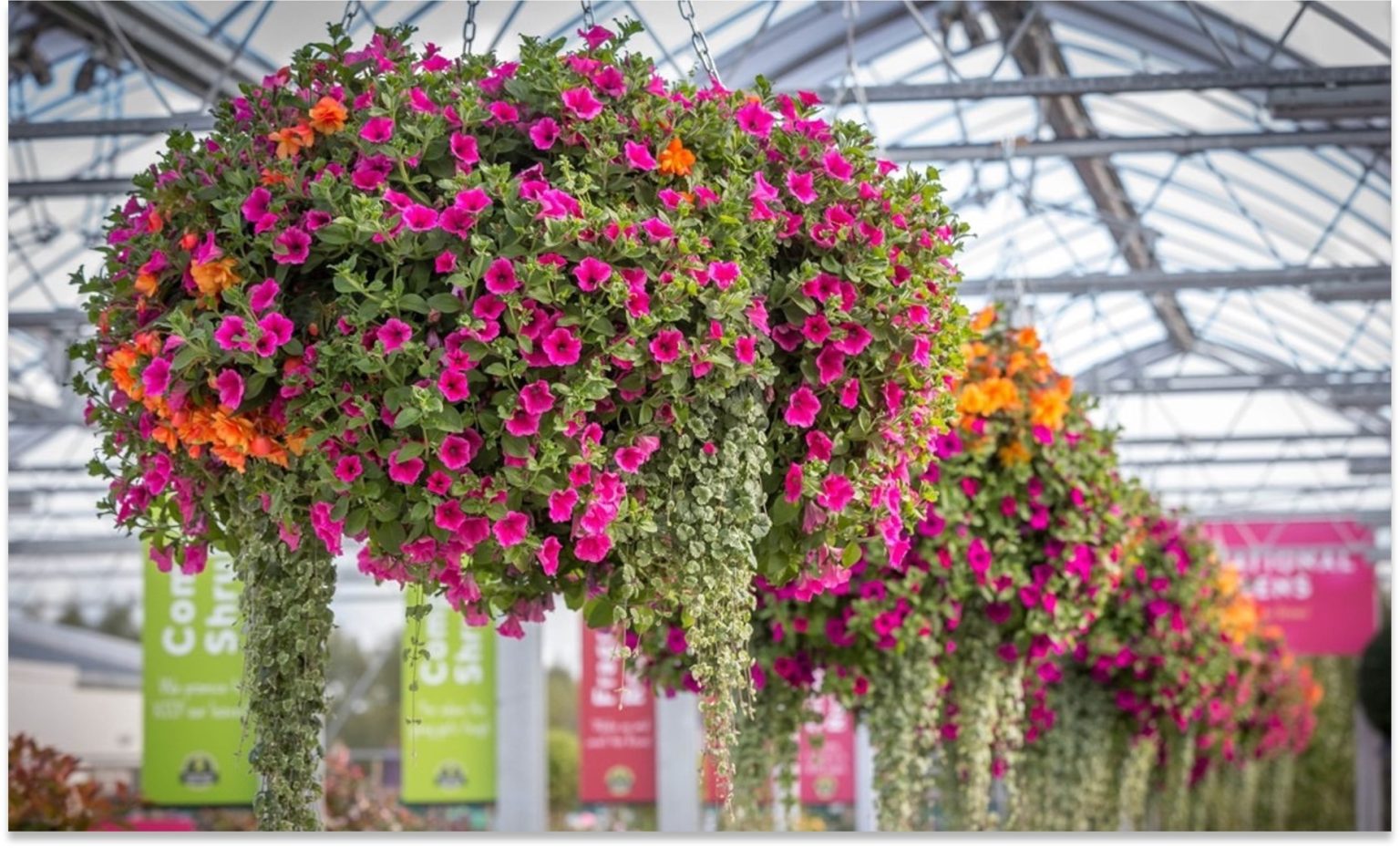 Arboretum Home and Garden Heaven - Carlow Garden Trail