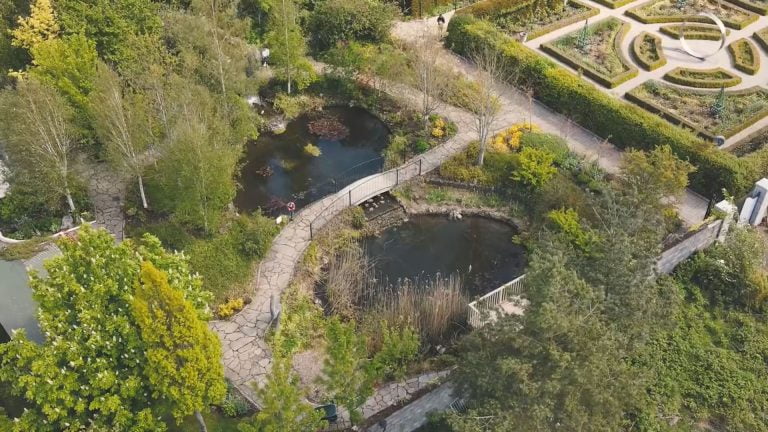 Delta-Sensory-Gardens-_-Outdoor-Cafe