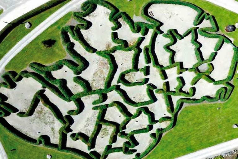 Rathwoods maze of ireland