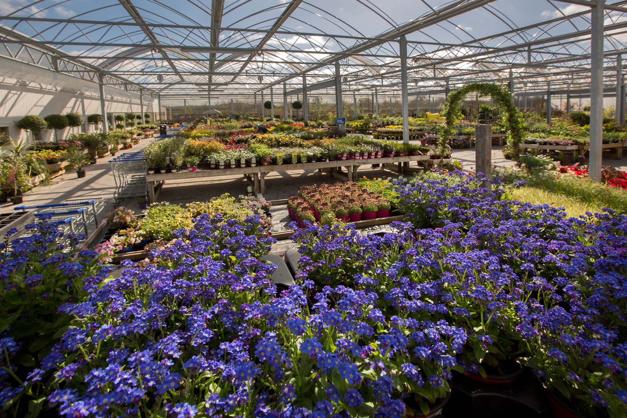 Plant Sales Area Arboretum Carlow