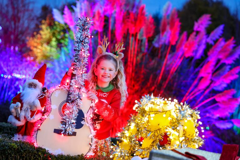 10. Illuminated Christmas Gardens at Arboretum (1)