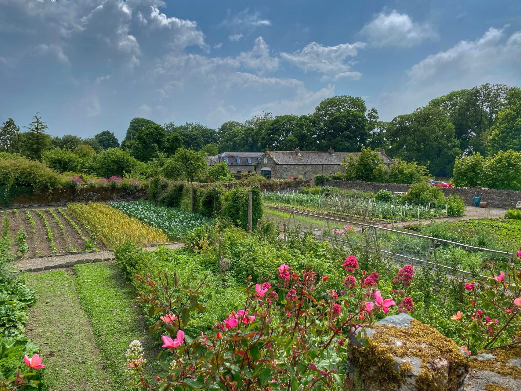 Vegetable Gardens at Burtown House