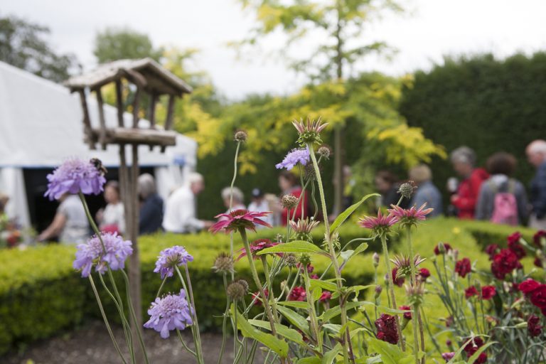 Carlow Garden Festival Day at Altamont Plant Sales