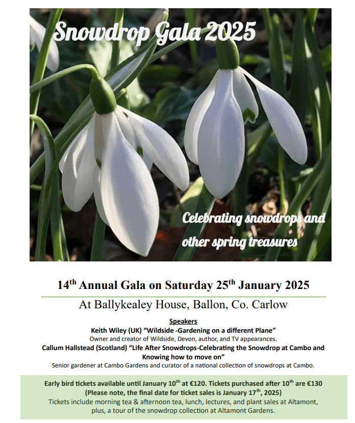 Snowdrop Gala 2025