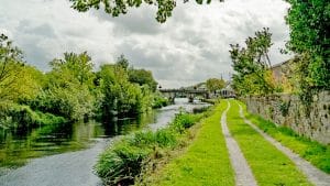 The Bountiful River Barrow - Foraging Walk along the River Barrow in Leighlinbridge