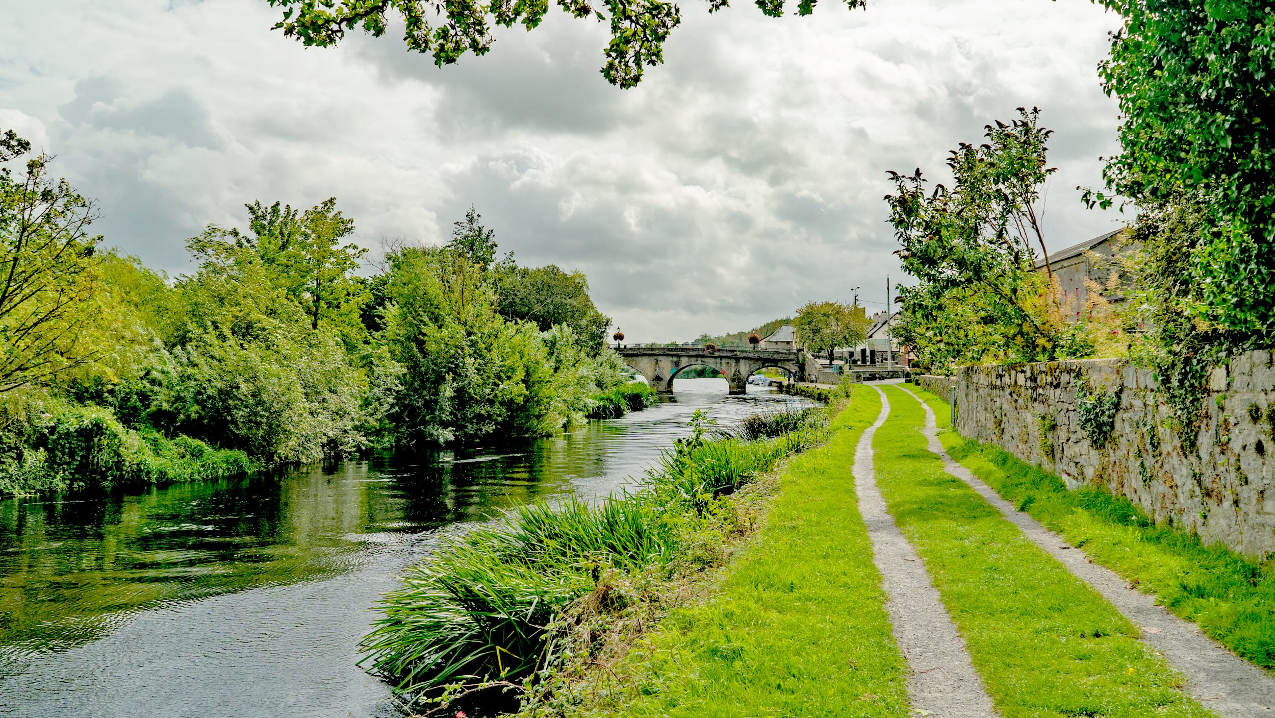 The Bountiful River Barrow - Foraging Walk along the River Barrow in Leighlinbridge