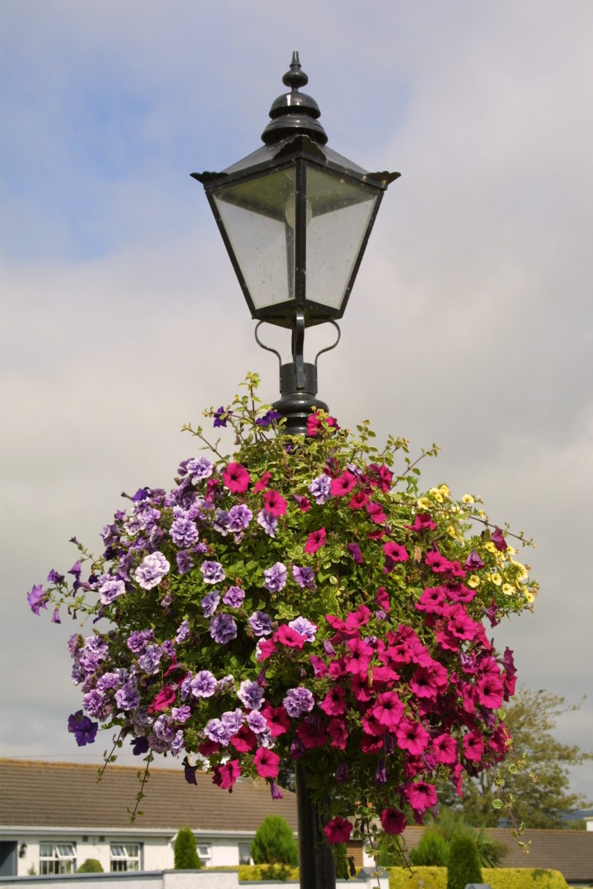 Leighlinbridge - the Garden Village