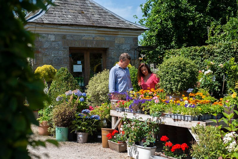 Altamont Plant Sales, Tullow, Co. Carlow