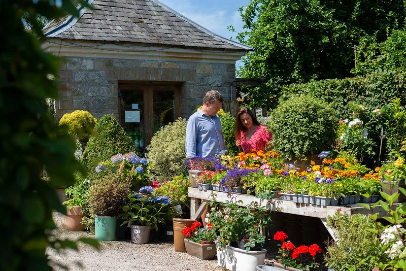 Altamont Plant Sales, Tullow, Co. Carlow