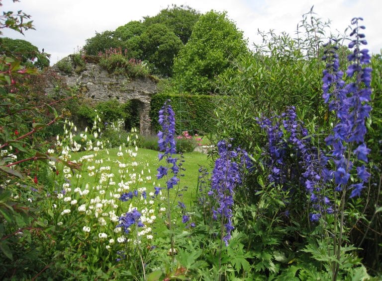 Burtown House and Gardens