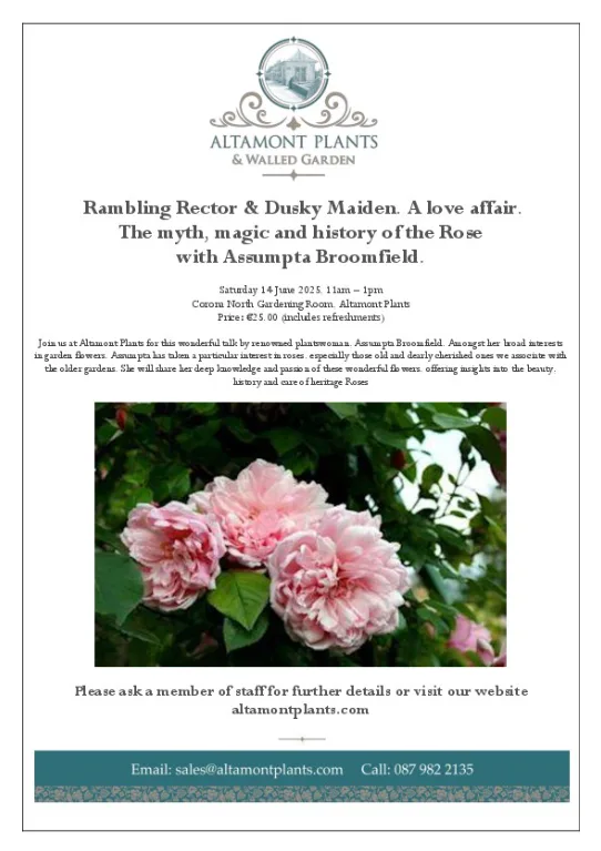 altamont event