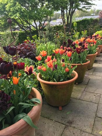 photo1_b689f819-bc5f-4fe4-98d8-783682c80782