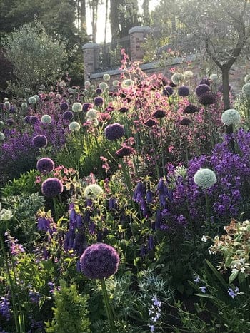 photo_2_bf35c54b-6864-4d45-a684-81aced8fc0e4