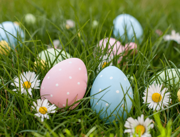 Rathwood Easter Experiecne 2026