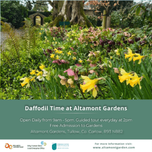 Daffodil Season at Altamont Gardens