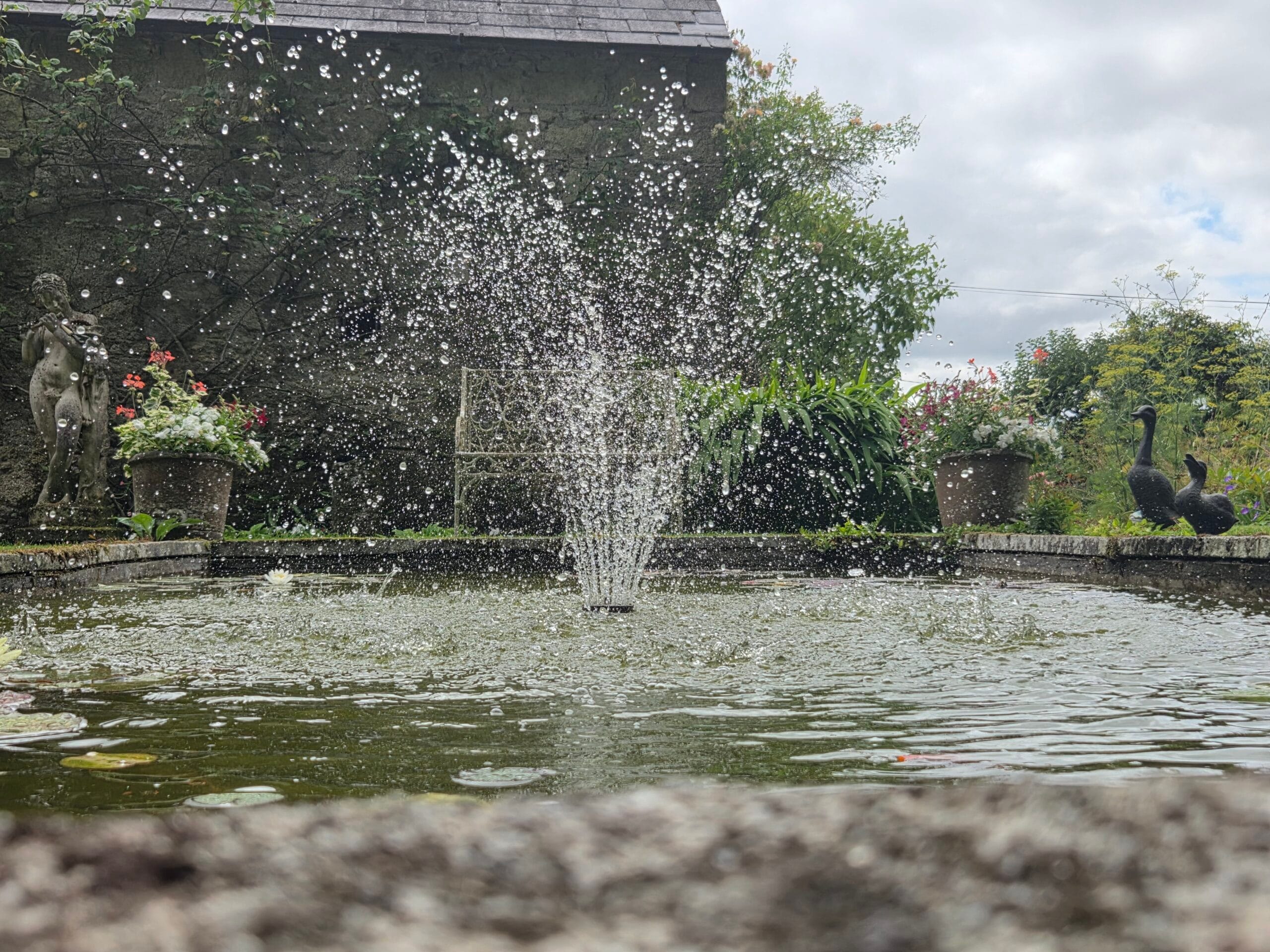 Hardymount Gardens