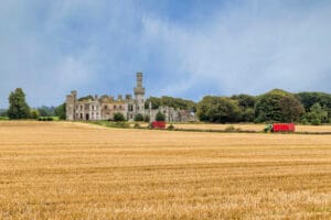 Duckett's Grove