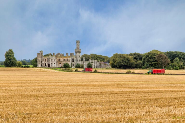 Duckett's Grove