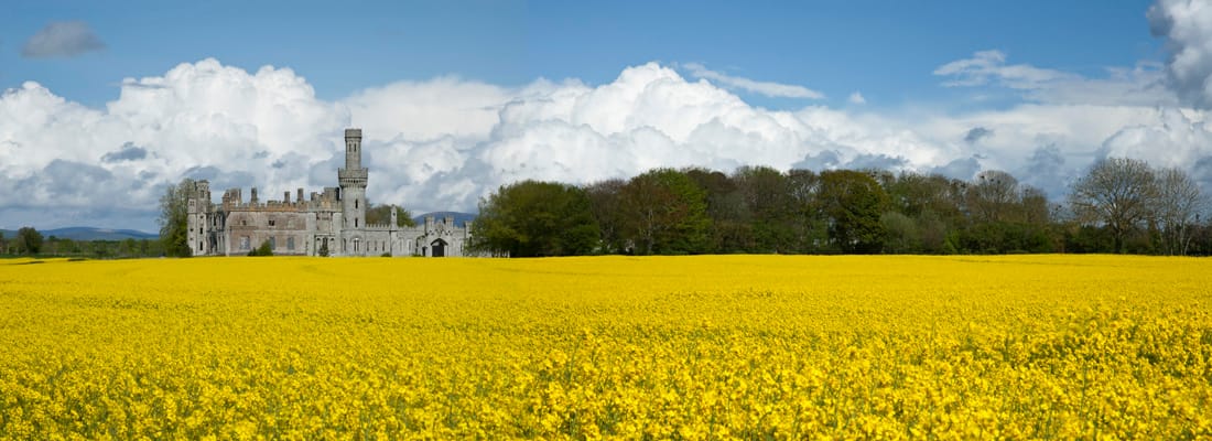 Duckett's Grove