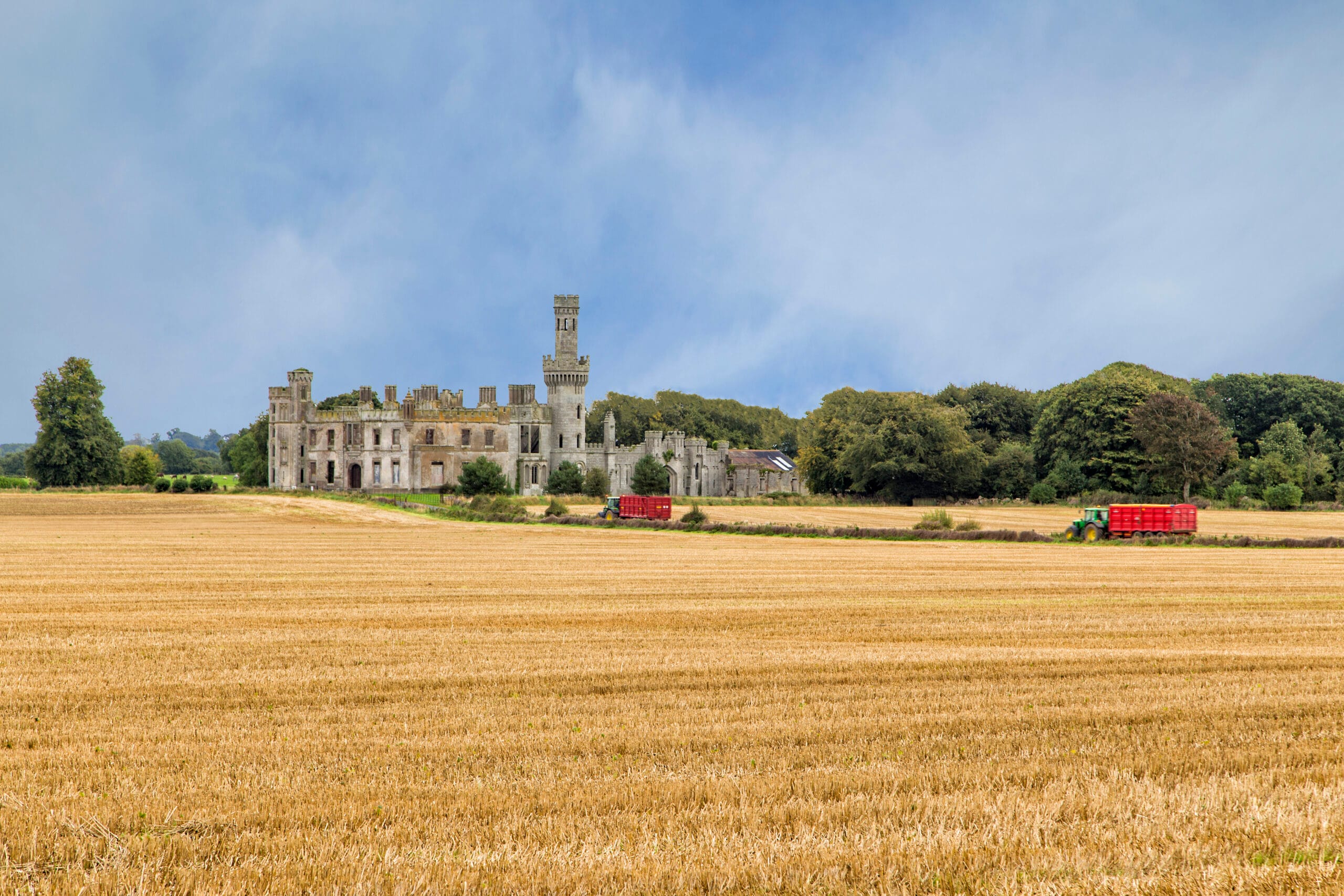 Duckett's Grove