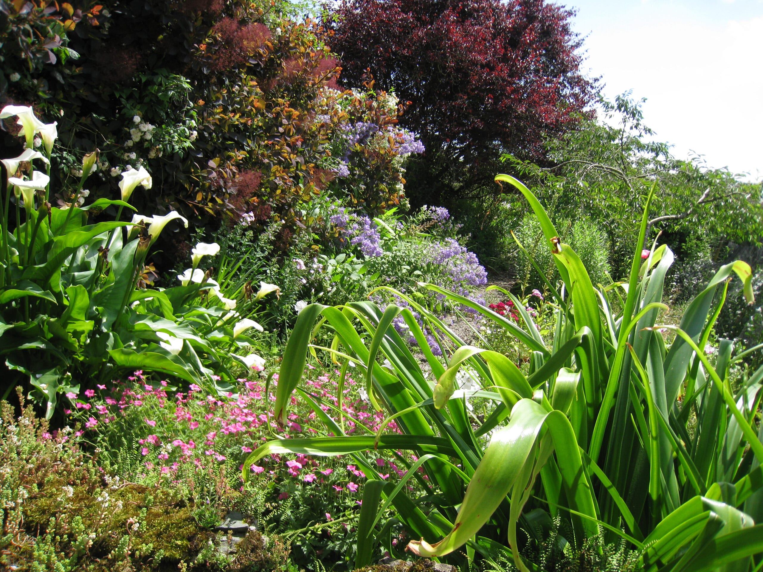 Burtown House and Gardens