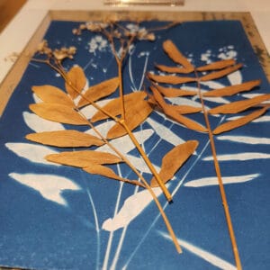 Botanical Impressions