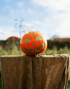 Pumpkin Hunt at Shankill Castle